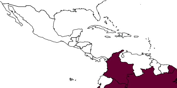 map of Euglossa laevicincta     Dressler, 1982